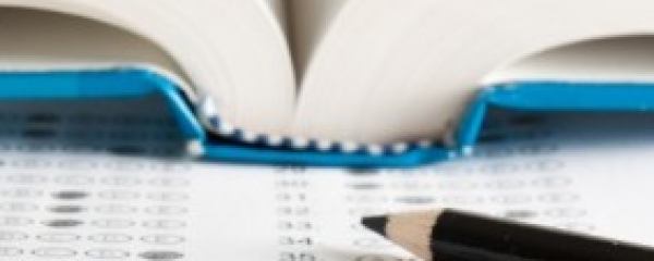 Обсуждается проект ФГОС ВО по направлению подготовки "Педагогическое образование"